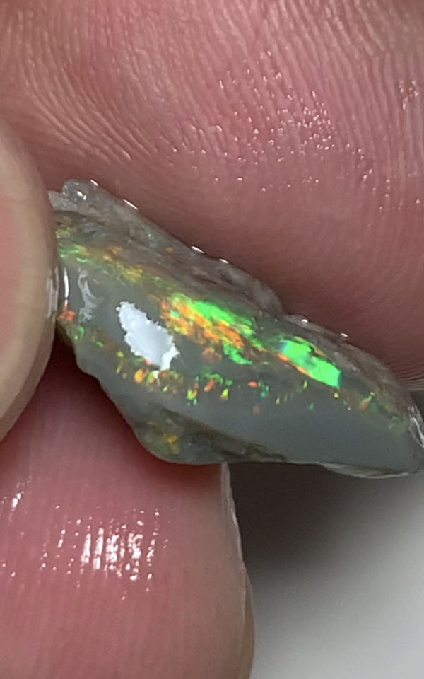 Australian Lightning Ridge Cutter Candy Select Bright Semi Black Crystal Seam Rough Opal 8cts Exotic Bright Yellow/orange dominant fires 21x11x5mm WSP58