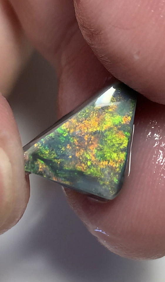 Australian Black Opal Rough Rub GEM GRADE 6.2cts Mulga® Field of Grawin Bright and Vibrant MultiFires Top Notch!!! WSC699