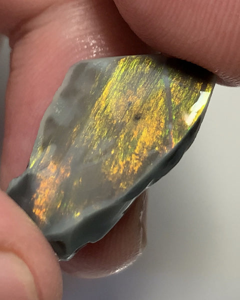 Australian Black Opal High Grade Rough / Rub Jewellery Grade  N3 Bodytone 13.5cts Packed with bright Orange fires & gorgeous pattern WSB659