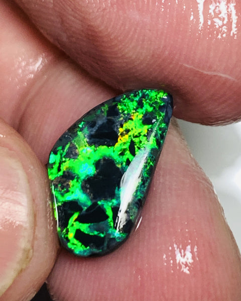 Australian Opal Rough Rub prefrom Gem Grade N3 Black Opal Miners Bench® Snake Skin 2.9cts Lots of Lovely Sharp bright green fires 15x8x3mm WSN42