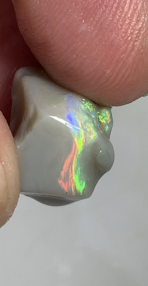 Australian Lightning Ridge Top Gem Select Bright Semi Black Seam Rough Opal 11cts Super Rainbow of Bright Multifires Stunning bar 16x11x11mm WSM100