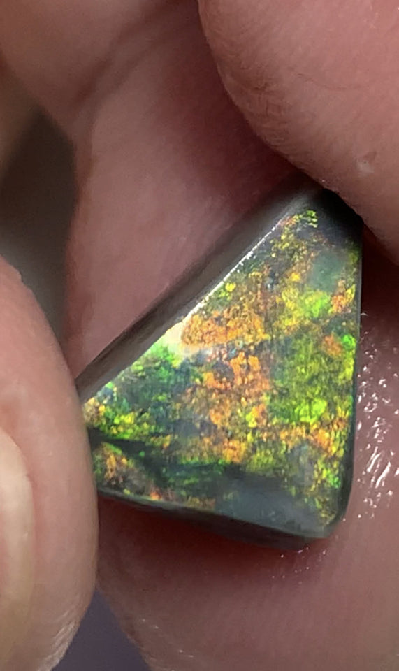 Australian Black Opal Rough Rub GEM GRADE 6.2cts Mulga® Field of Grawin Bright and Vibrant MultiFires Top Notch!!! WSC699