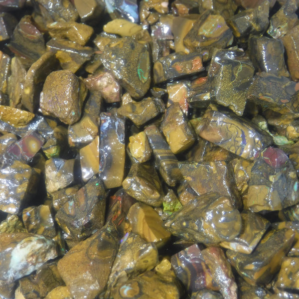 400 cts Random Scoop of Low Grade Koroit boulder/matrix ironstone pieces from Queensland Australia size range  20mm to 5mm size range