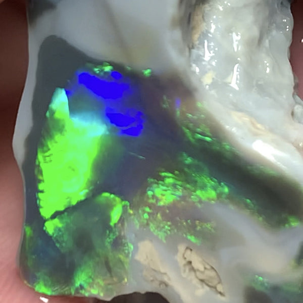 Australian Lightning Ridge Opal Gem Grade Single Semi Black Rub 29cts Rub/Rough Super Saturated Vivid Multifires & stunning pattern mix 27x16x15mm WSQ40