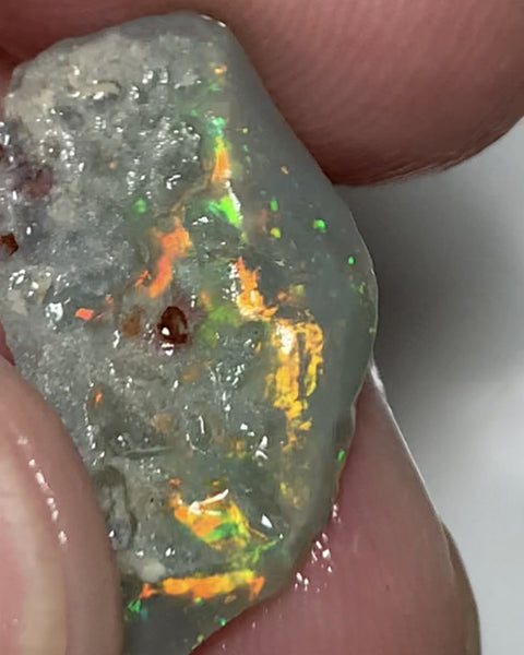 Australian Lightning Ridge Cutter Candy Select Bright Semi Black Crystal Seam Rough Opal 8cts Exotic Bright Yellow/orange dominant fires 21x11x5mm WSP58